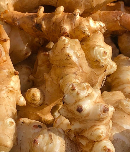 Inulin